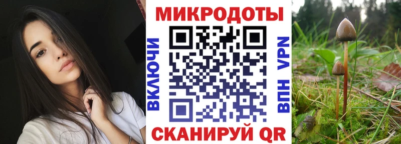 ссылка на мегу ONION  Алейск  Галлюциногенные грибы мицелий 